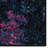 Multicolore tapis en polypropylène tissé à la machine Chung-21580730