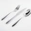 Dream Stainless Steel Serving Spoon