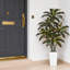 Arbre 59 po Dracaena artificiel 59 po Real Touch-1373960529