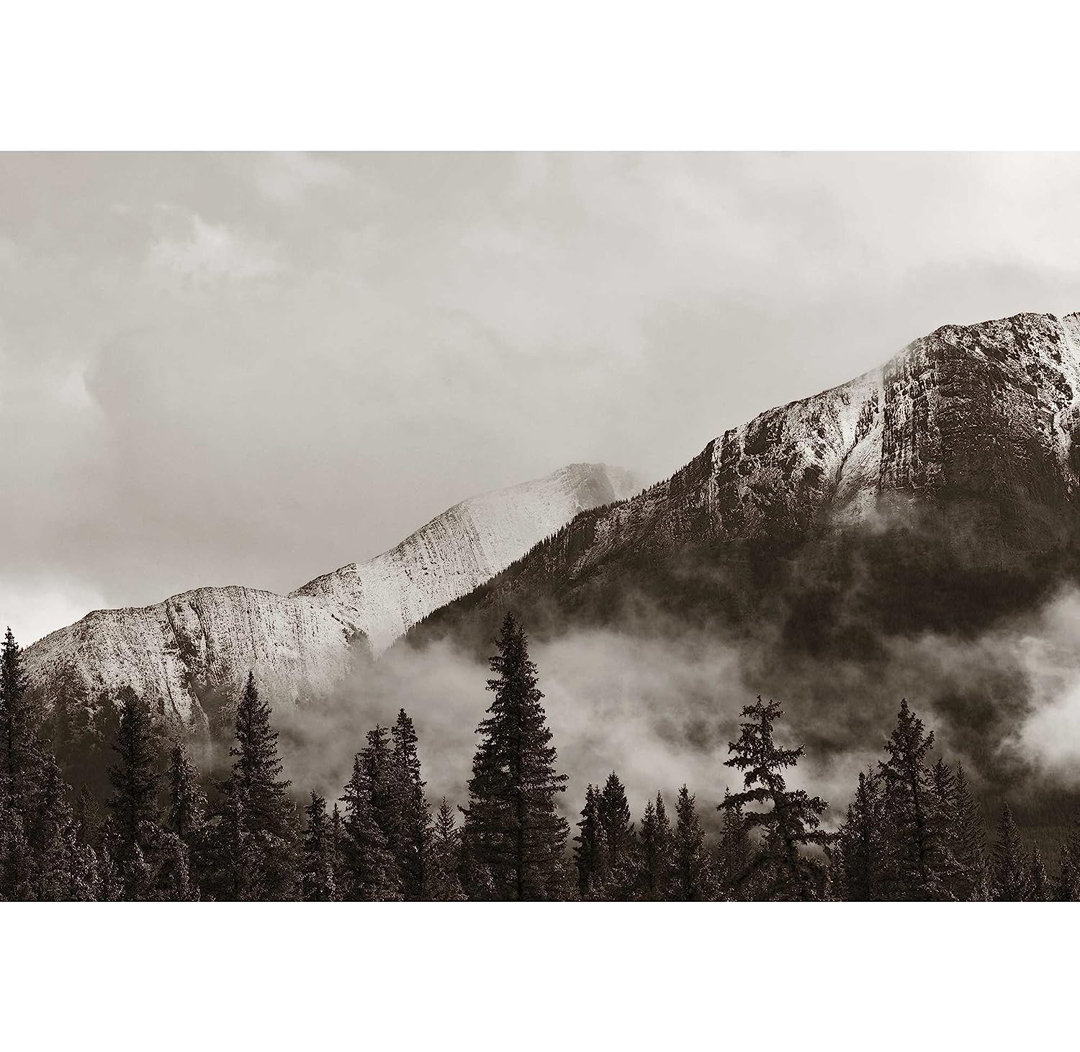 Forest Nature Landscape Peel & Stick Border IDEA4WALL 