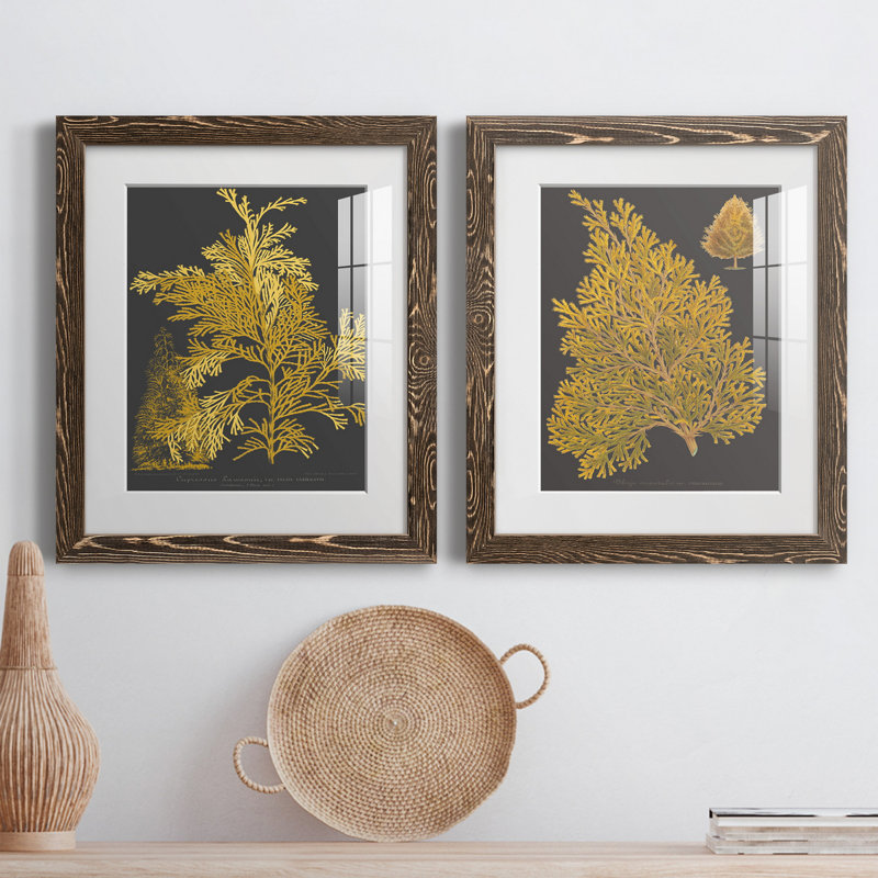 «Trees and Leaves I», ensemble de 2 reproductions d'art, H 20 po x l 17 po x P 1 po, Papier, cadre noyer, Blanc