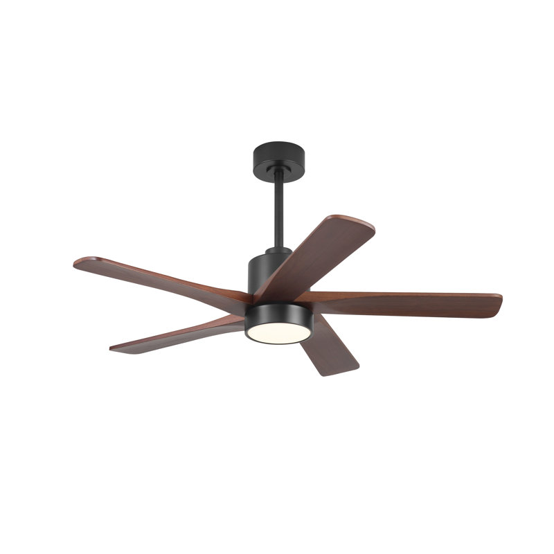 Ventilateur de plafond standard à DEL à 5 pales Athanafis avec télécommande et ensemble d'éclairage inclus, Noir, Noyer, 48"