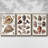 " Collected Shells IV " 3 - Pieces-502004505-502004509