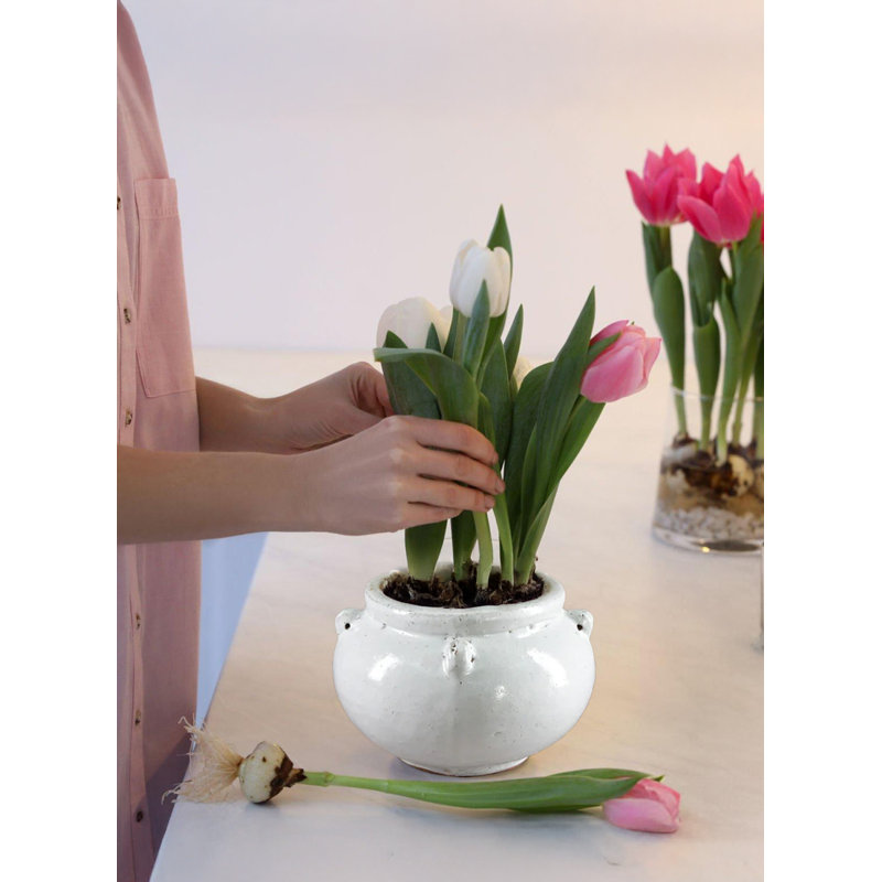 Cloud Glaze Ceramic Bowl Planter – White Low Round Pot For Indoor & Outdoor Plants, Vintage Minimalist Decor, 7"H x 9"W x 9"D