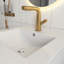 Meuble-lavabo mural noir de 20 po avec armoire latérale, porte à fermeture en douceur, meuble-lavabo moderne avec lavabo en céramique-340570069