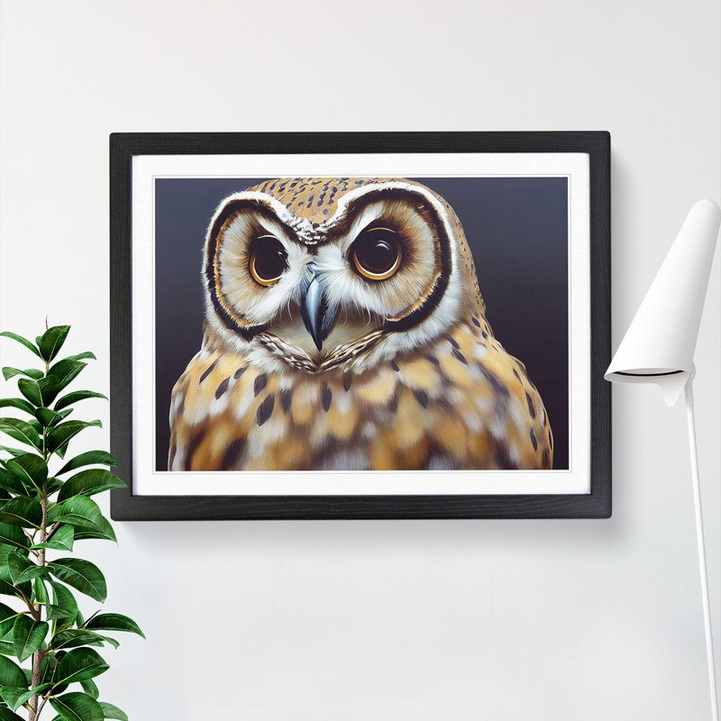 Fab Owl - Single Picture Frame Painting, Black, 25cm H x 34cm W x 2cm D