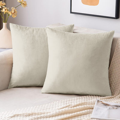 Velvet Scatter Cushion Covers - Soft Plush Decorative Covers Set of 2 for Sofa & Bed