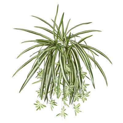 26" Artificial Hanging Spider Plant