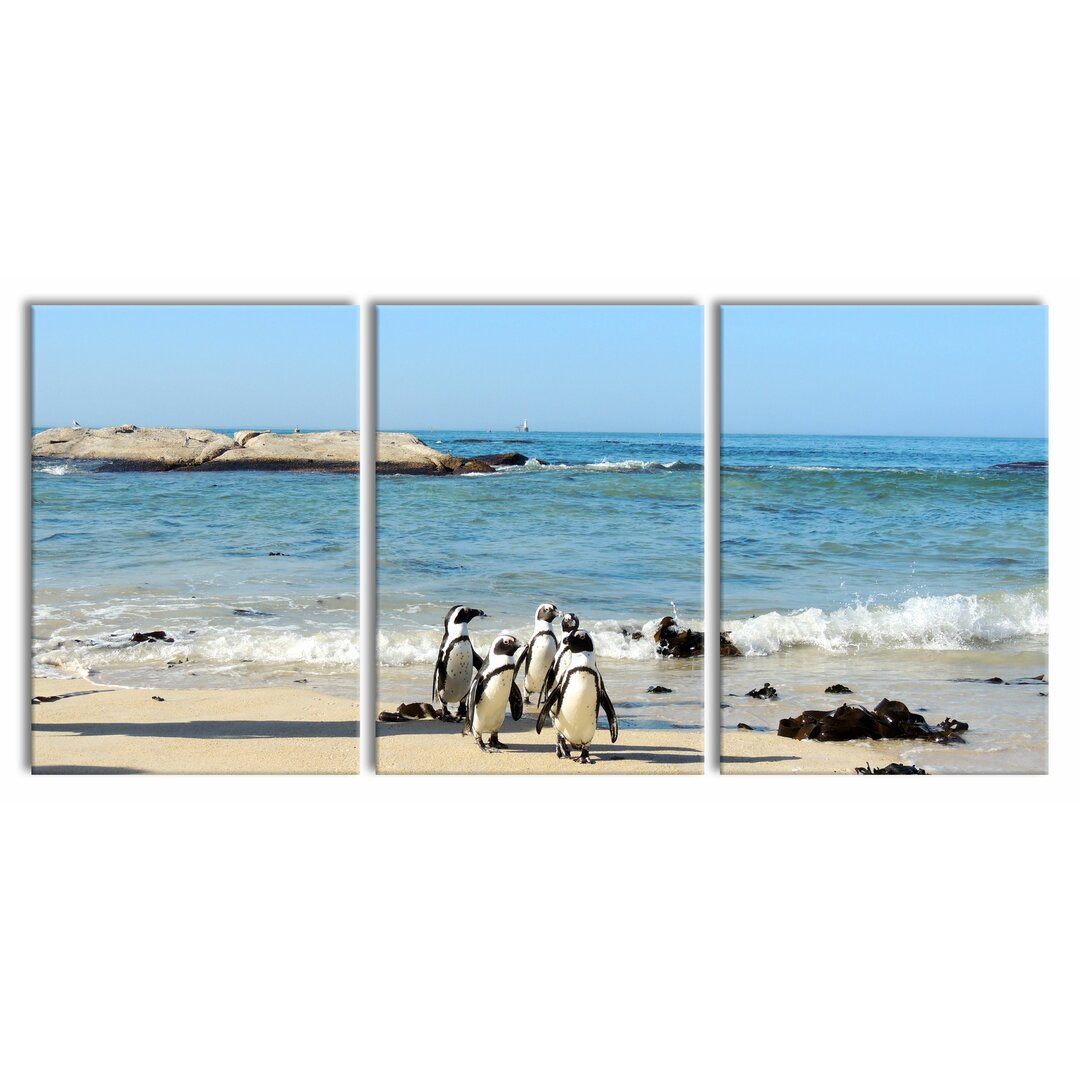 3-tlg. Leinwandbilder-Set Pinguine am Strand in Weiß