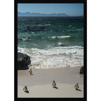 Perolio "Coming in to the Beach" Print