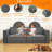 Akoya 60.2'' Modular Sofa-1625795459