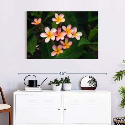 Harnek Light Pink Plumeria Flower