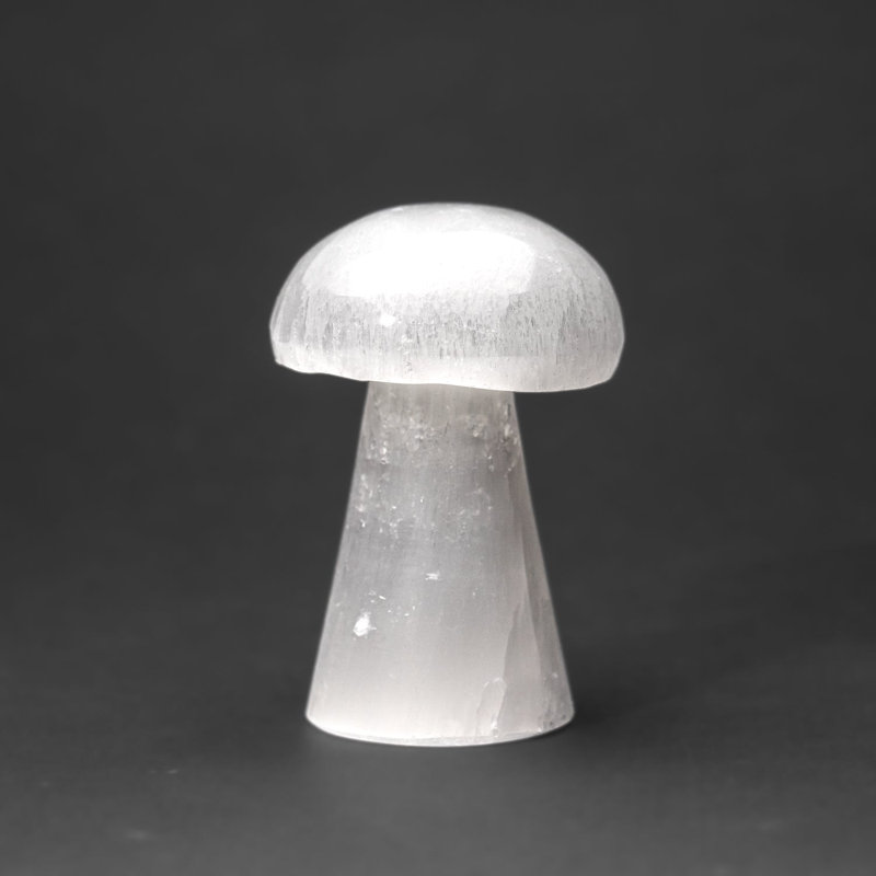 Cloche Or Water Globe