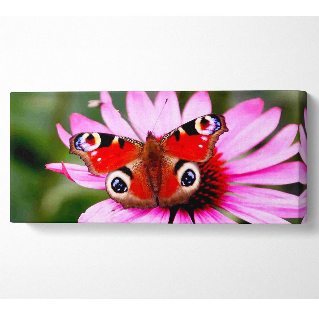 Symmetrischer Schmetterling - Kunstdrucke auf Leinwand - Wrapped Canvas