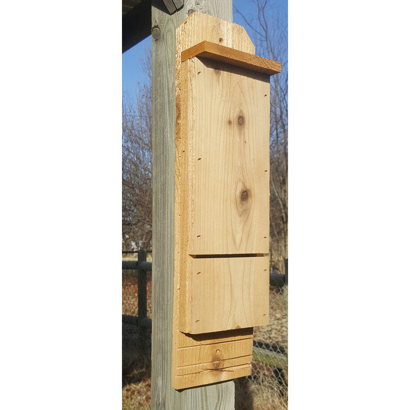 Maisonnette 20 po x 5,25 po x 3 po Palomo