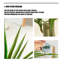 Arbre de dragon haut de gamme Bionic Green Plant
