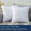 Ensemble de 2 coussins décoratifs en coton biologique Delara Premium-101809423-109272182