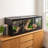 72 in. x 24 in. x 24 in. Glass and PVC Reptile Terrarium