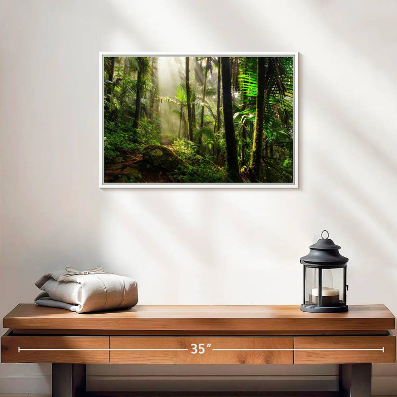 Forêt nationale d'El Yunque, 19 po x 13 po, Cadre flottant blanc