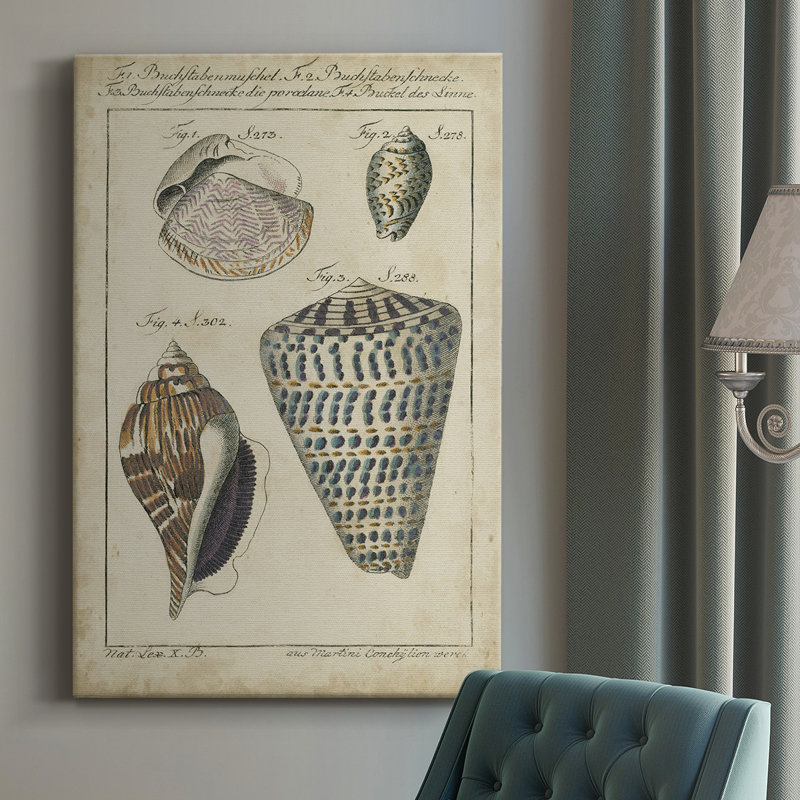 «Vintage Shell Study II», impression sur toile tendue, H 18 po x l 12 po x P 1 po