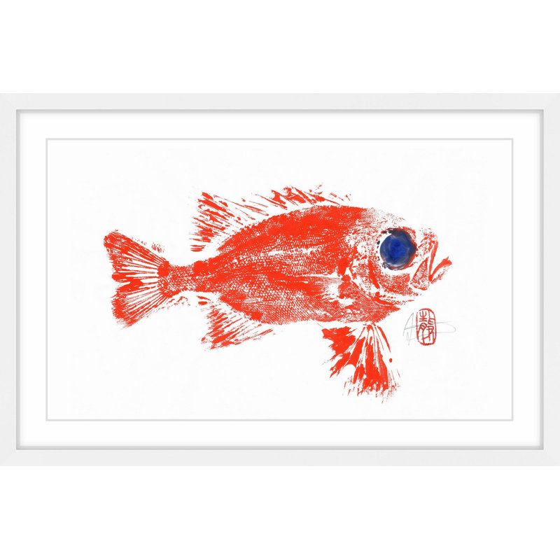 Squirrel Fish by Andrew Clay - Single Picture Frame Graphic Art, 24" H x 36" W x 1.5" D
