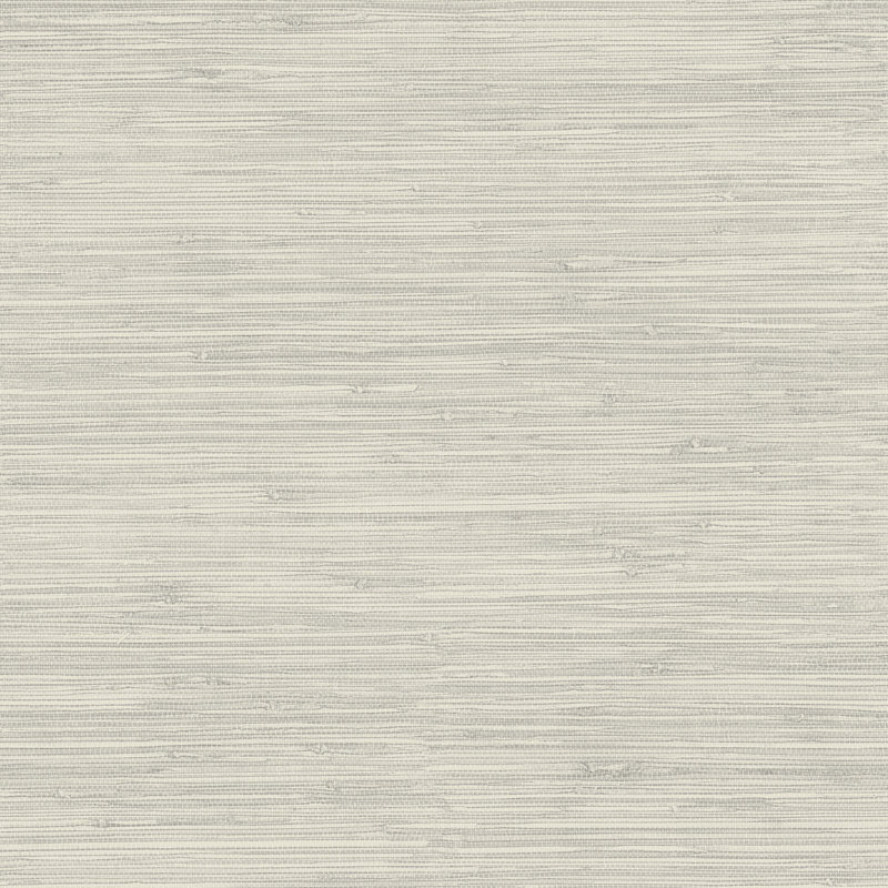Rouleau de papier peint texturé L 33 pi x l 20,5 po Dory, Gris clair