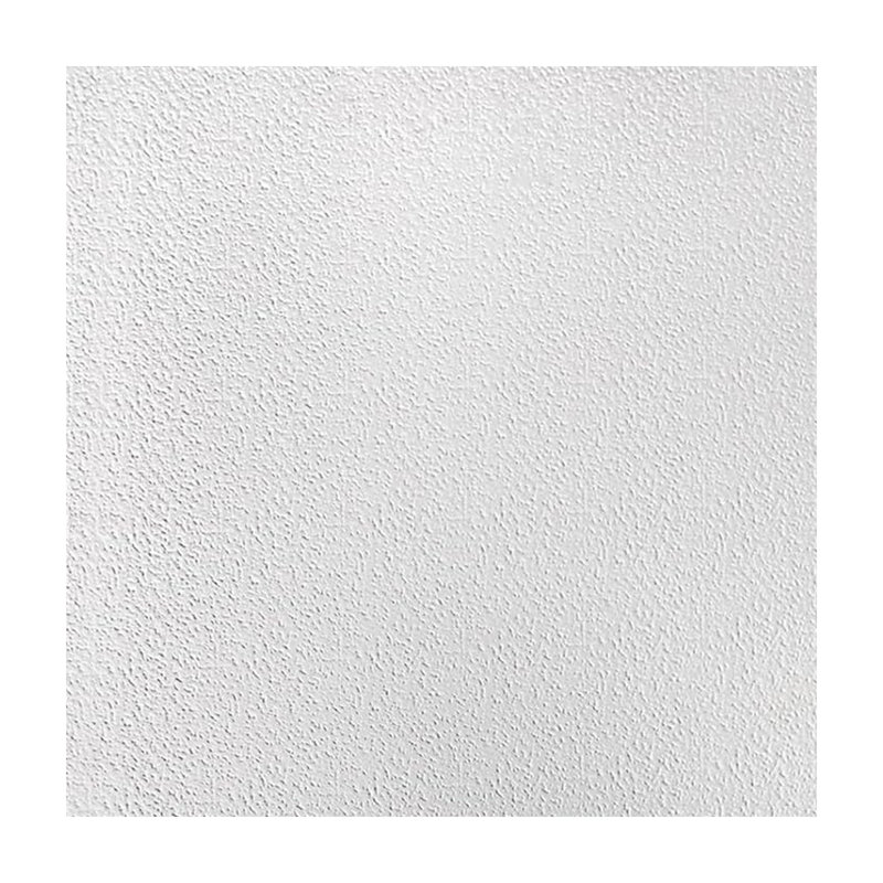 Fasarxiu X 2 pi Carreau de plafond décoratif en PVC texturé - très épais pour la maison, le bureau (48 pieds carrés / caisse, ensemble de 12)