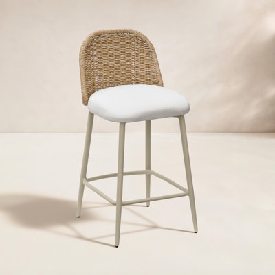Franco 39.4'' Outdoor Bar Stool with Cushion