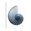 Lavendar Snail 4 - Wrapped Canvas Print-483228149