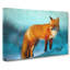 The Red Fox - Wrapped Canvas-56638492