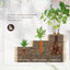 Ahto Wood Raised Garden Bed