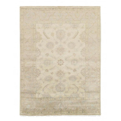 Oriental Area Rug in Ivory