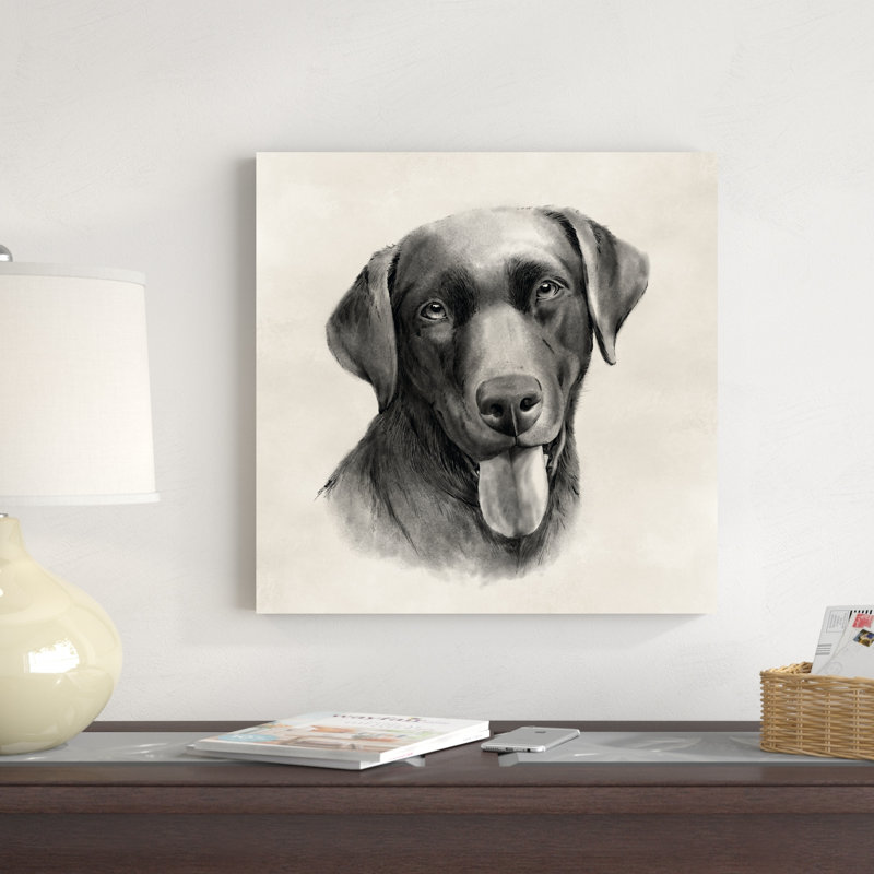 Gris anthracite Labrador I, H 20 po x l 20 po