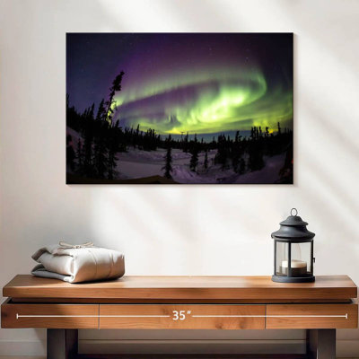 Alvord Fairbanks Winter Aurora