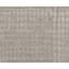 Area Rug in Gray