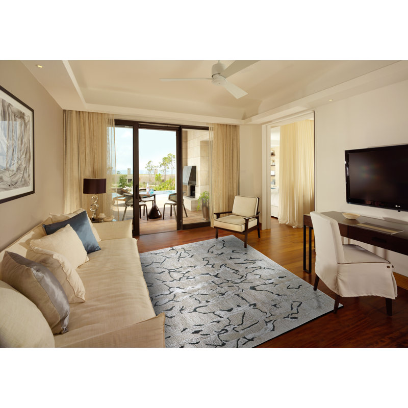 Banford Abstract Area Rug in Taupe/Black, Rectangle 2' x 3'