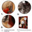 Portrait de renard en automne II - animaux, art mural sur toile-643273548-643273549