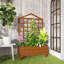 Raised Garden Bed