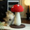 Grattoir en forme de champignon en sisal