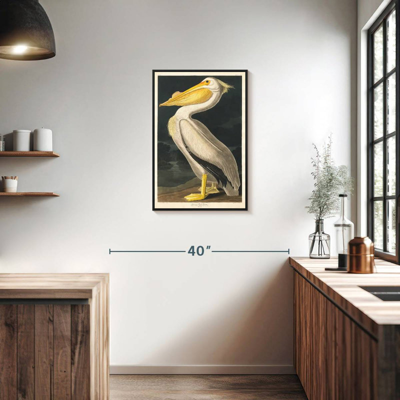 Pélican d'Amérique des oiseaux d'Amérique, Cadre flottant noir, 21 po x 31 po