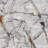 Eyers Abstract Indoor Rug-2031306159