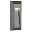 20cm H Integrated LED Outdoor Sconce