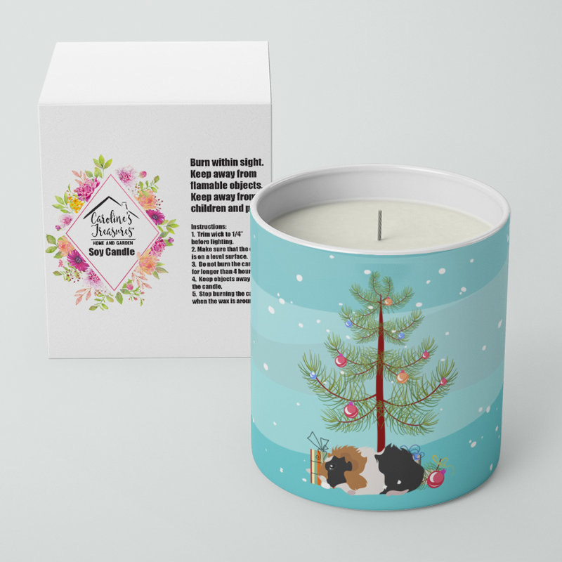 Bougie décorative Abyssinian Cochon d'Inde Merry Christmas 10 oz