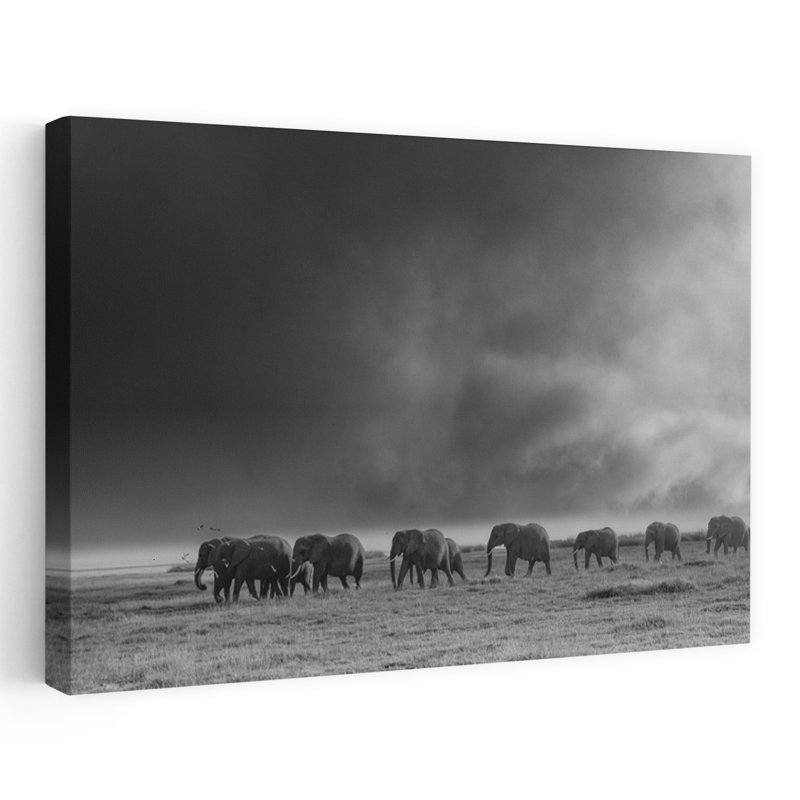 Print, 60.96cm H x 91.44cm W