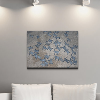 «Turtle Hatchlings» par Christopher Doherty, reproduction de photo sur toile tendue