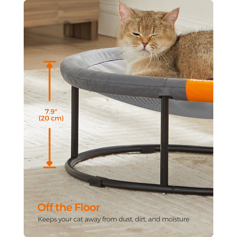 Elevated Pet Bed, 20cm H x 52cm W x 42cm D