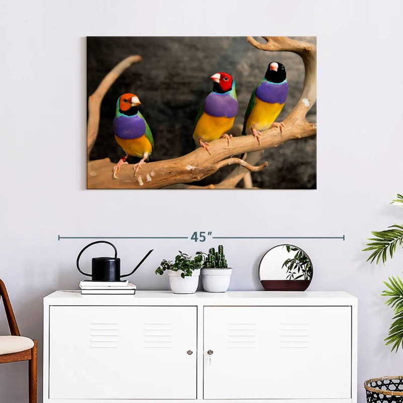 Rainbow Finches, 24" H x 36" W