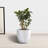 Karola Pot Planter-1267224134-1267224138