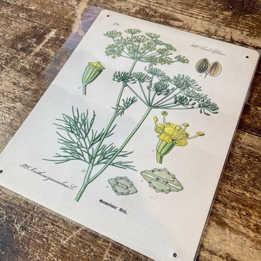 Plants & Flowers Wall Decor on Metal
