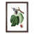 Walnut Framed selected